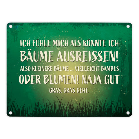 Metallschild mit Spruch: Ich fühle mich, als könnte ...