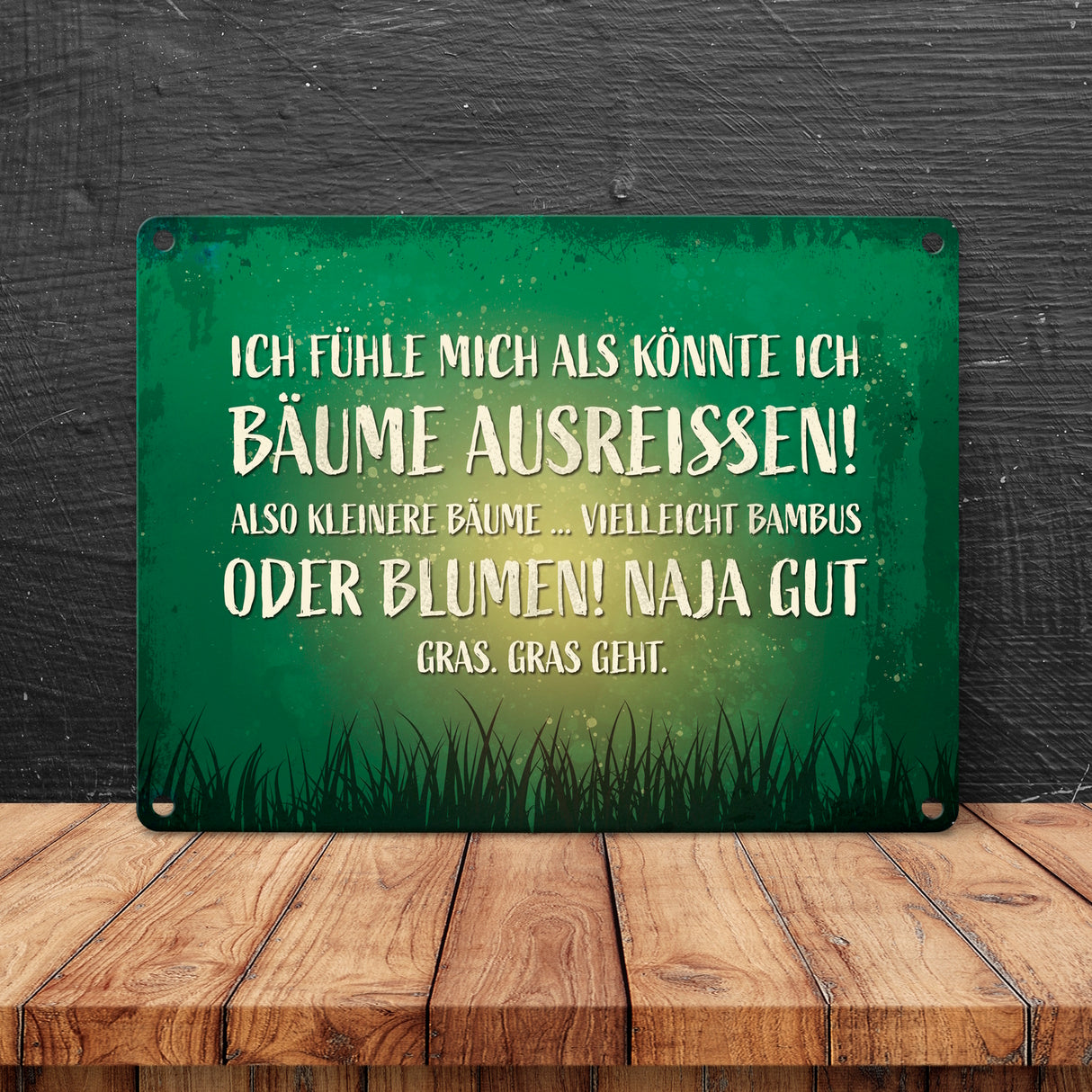 Metallschild mit Spruch: Ich fühle mich, als könnte ...