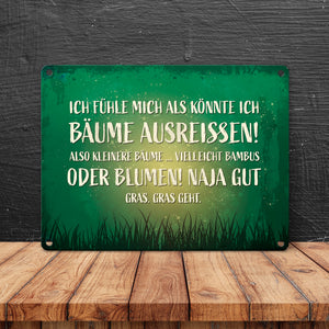 Metallschild mit Spruch: Ich fühle mich, als könnte ...