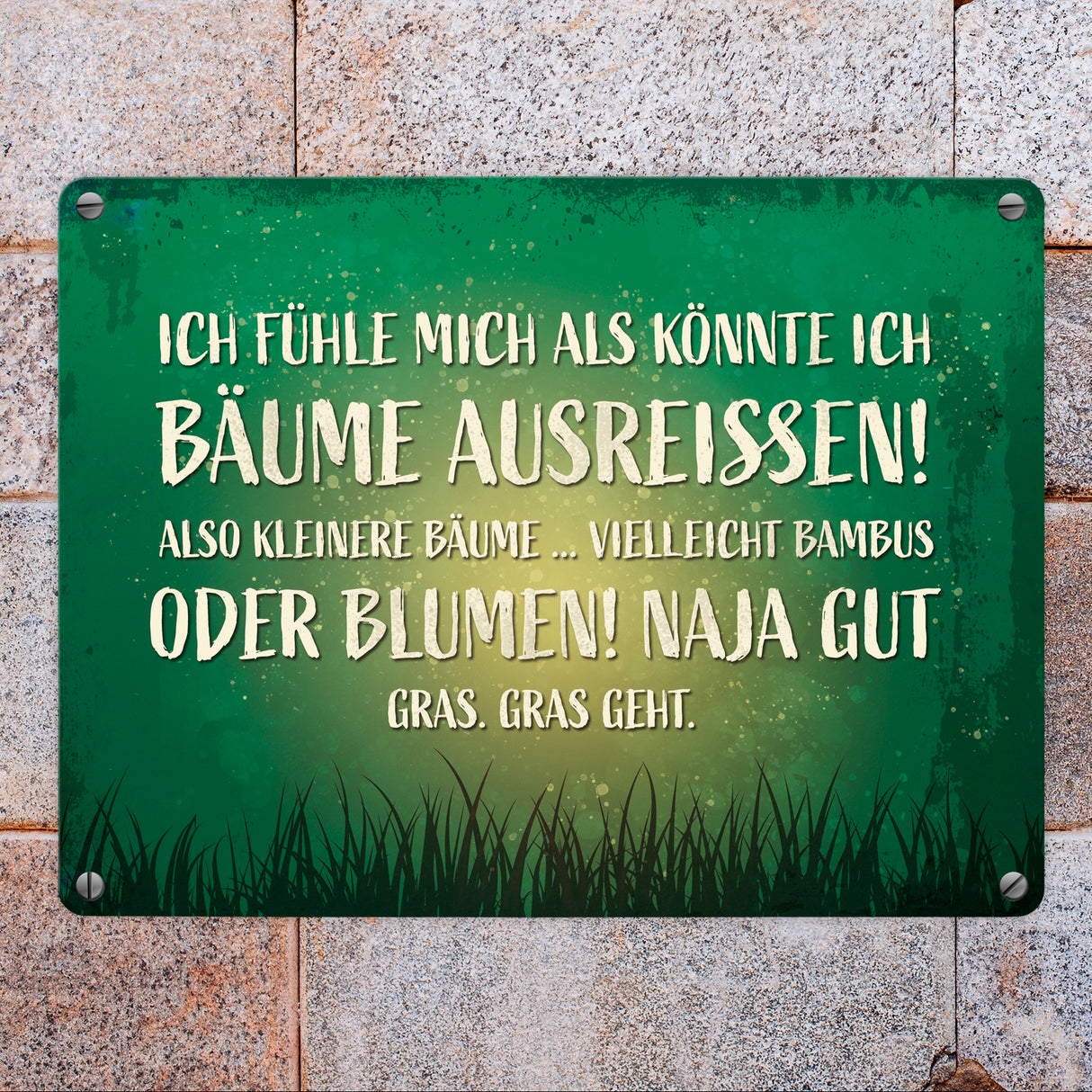 Metallschild mit Spruch: Ich fühle mich, als könnte ...
