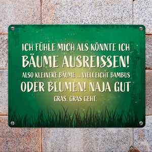 Metallschild mit Spruch: Ich fühle mich, als könnte ...
