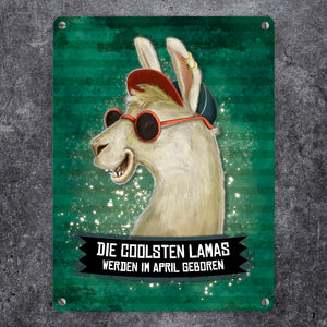 Metallschild mit Spruch: Die coolsten Lamas werden im April geboren