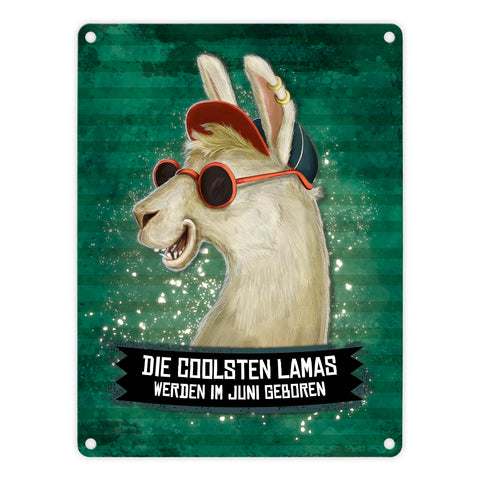 Metallschild mit Spruch: Die coolsten Lamas werden im Juni geboren