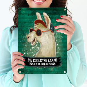 Metallschild mit Spruch: Die coolsten Lamas werden im Juni geboren