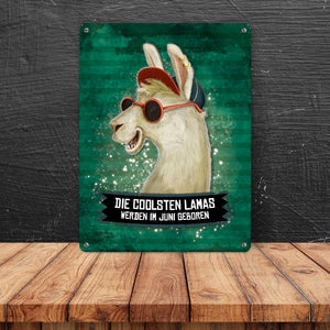 Metallschild mit Spruch: Die coolsten Lamas werden im Juni geboren