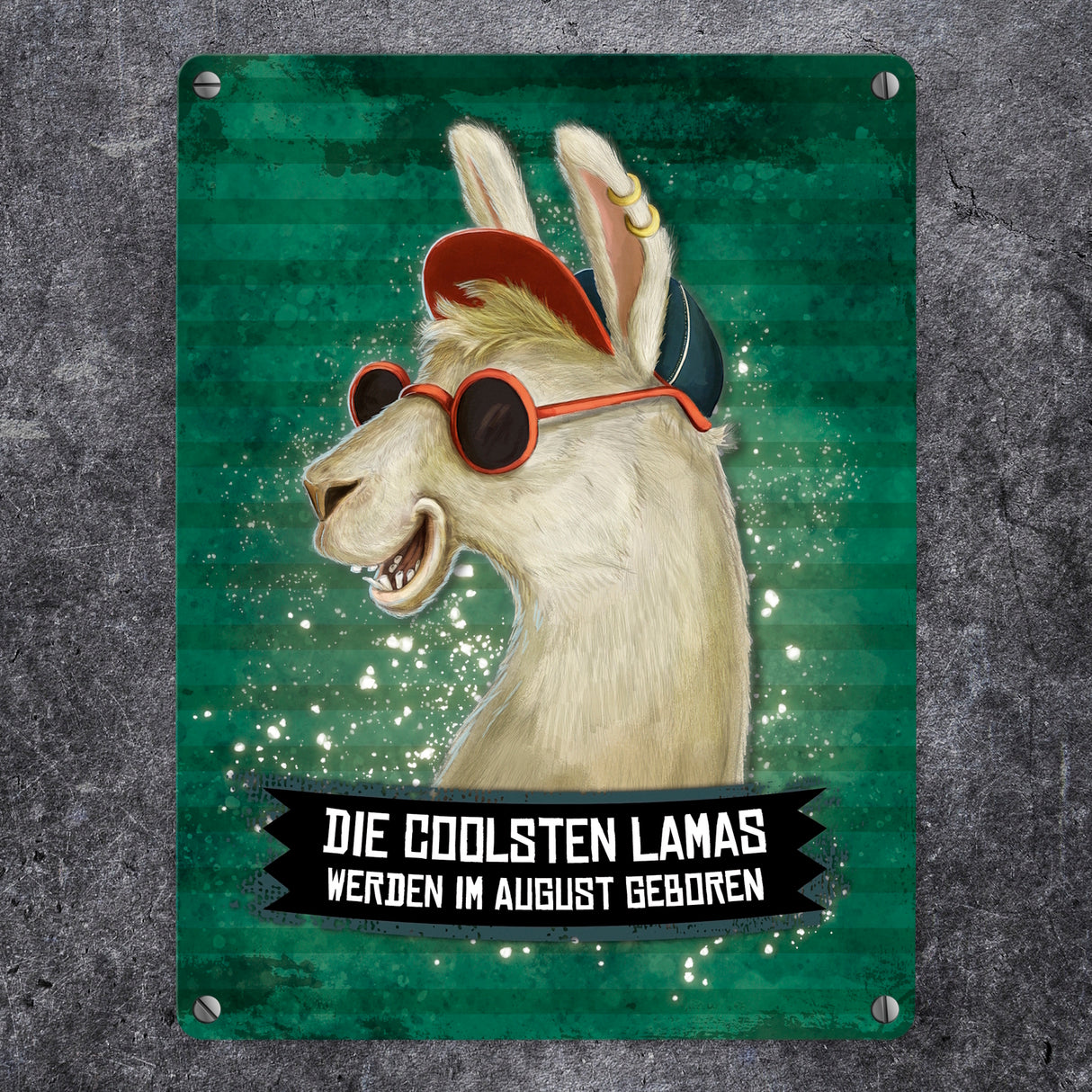 Metallschild mit Spruch: Die coolsten Lamas werden im August geboren