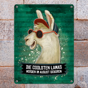 Metallschild mit Spruch: Die coolsten Lamas werden im August geboren