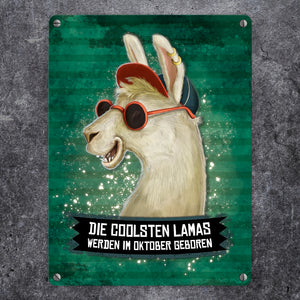 Die coolsten Lamas werden im Oktober geboren Metallschild