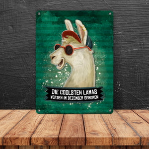 Metallschild mit Spruch: Die coolsten Lamas werden im Dezember geboren