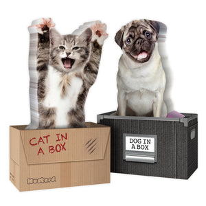 Dog in a Box Haftnotizen mit 150 Blatt