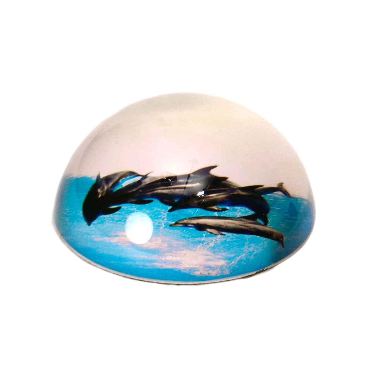 Delfin Briefbeschwerer