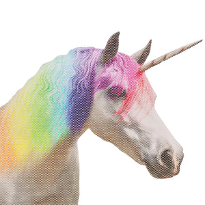 Ride with a Unicorn - Einhorn Autosticker