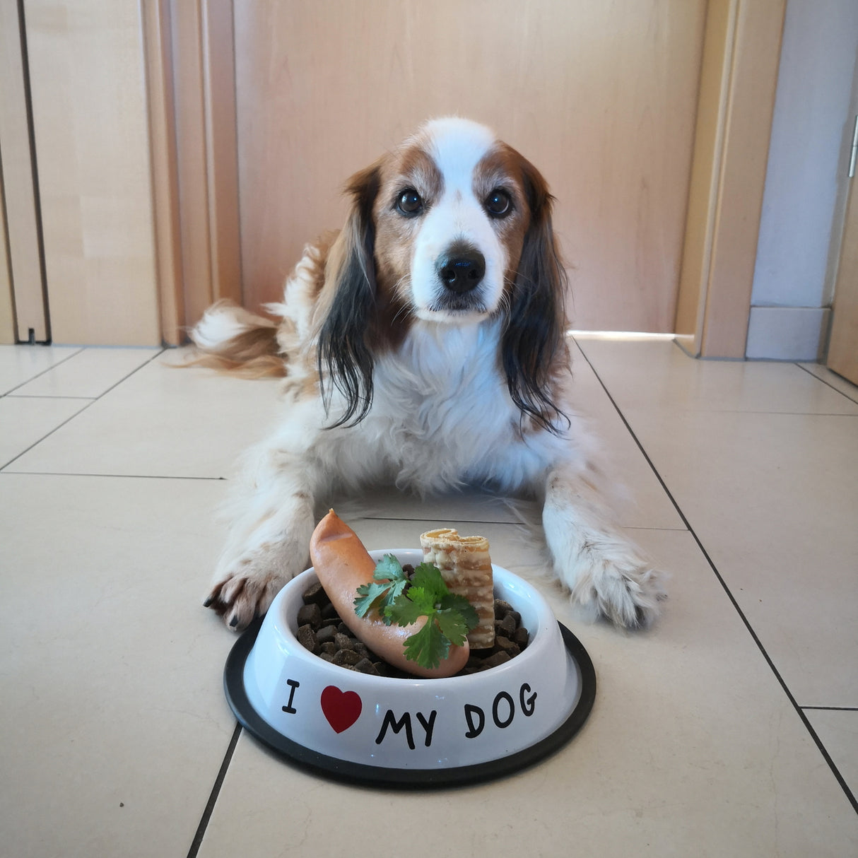 I Love my Dog Futternapf aus Edelstahl