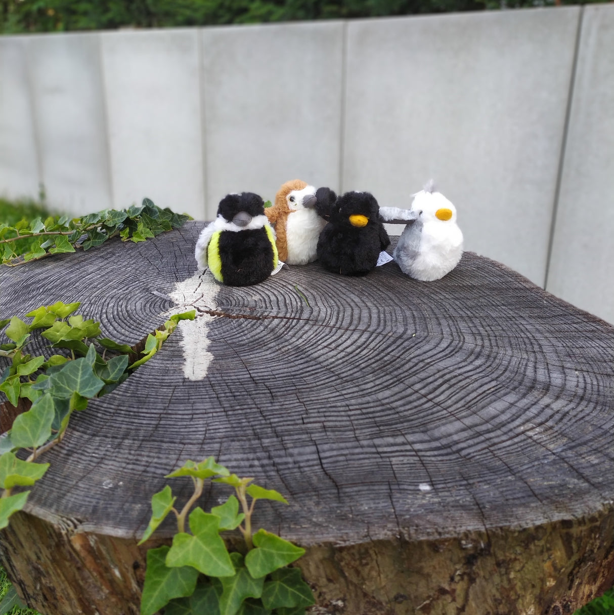 Kohlmeise Kuscheltier mit Vogelzwitschern