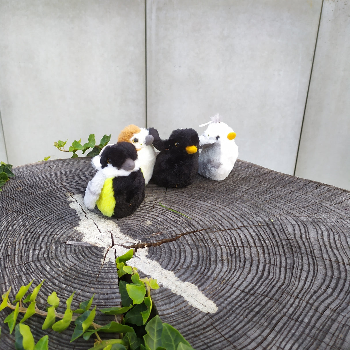 Kohlmeise Kuscheltier mit Vogelzwitschern