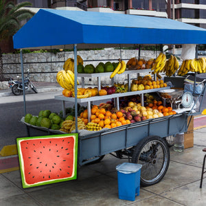 Fruits Kühlschrankmagnete 7er Set mit Thema Früchte