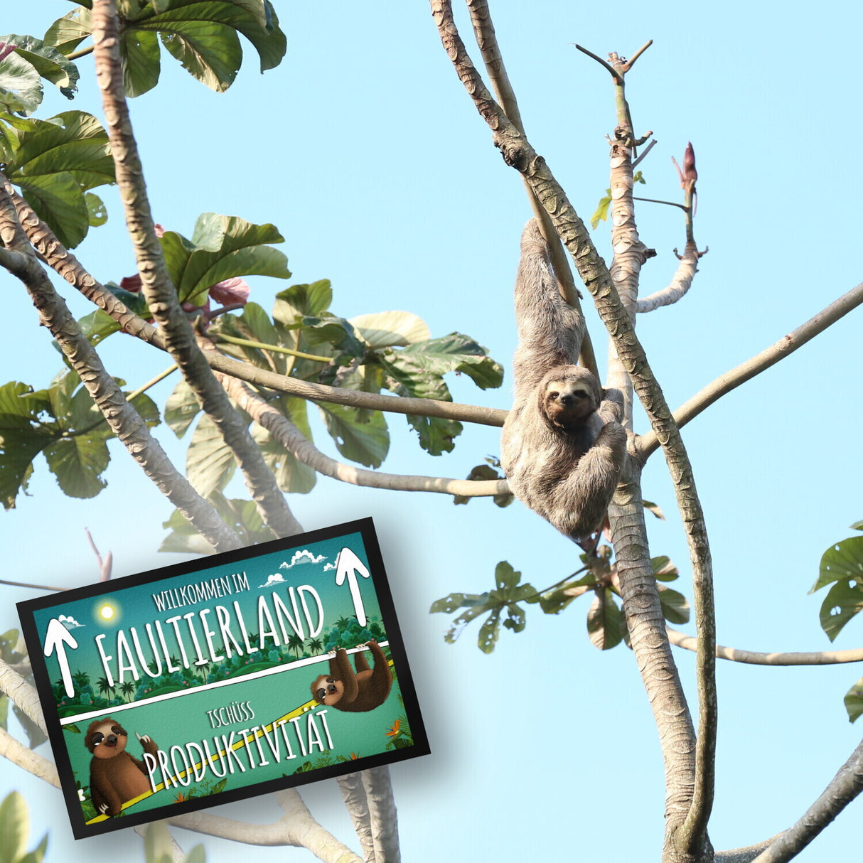 Willkommen im Faultierland Fußmatte