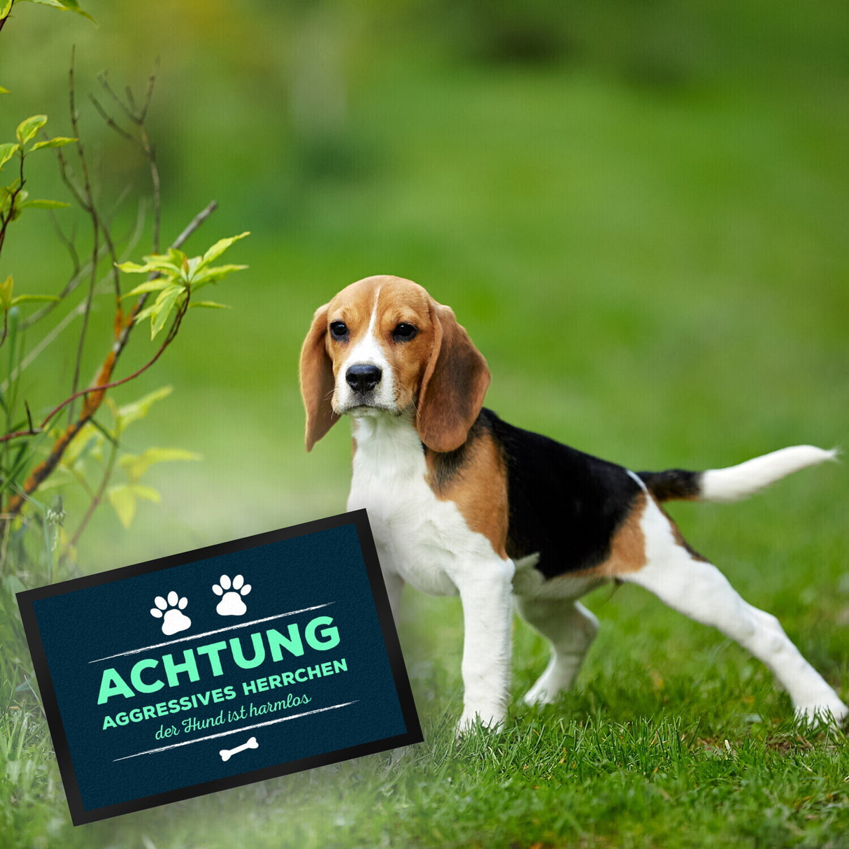 Achtung aggressives Herrchen Fußmatte