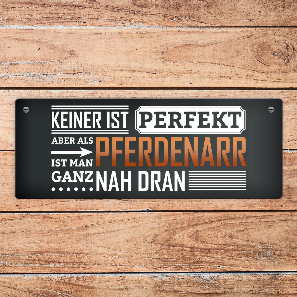 Metallschild mit Spruch: Keiner ist perfekt, aber als Pferdenarr ist man ganz nah dran