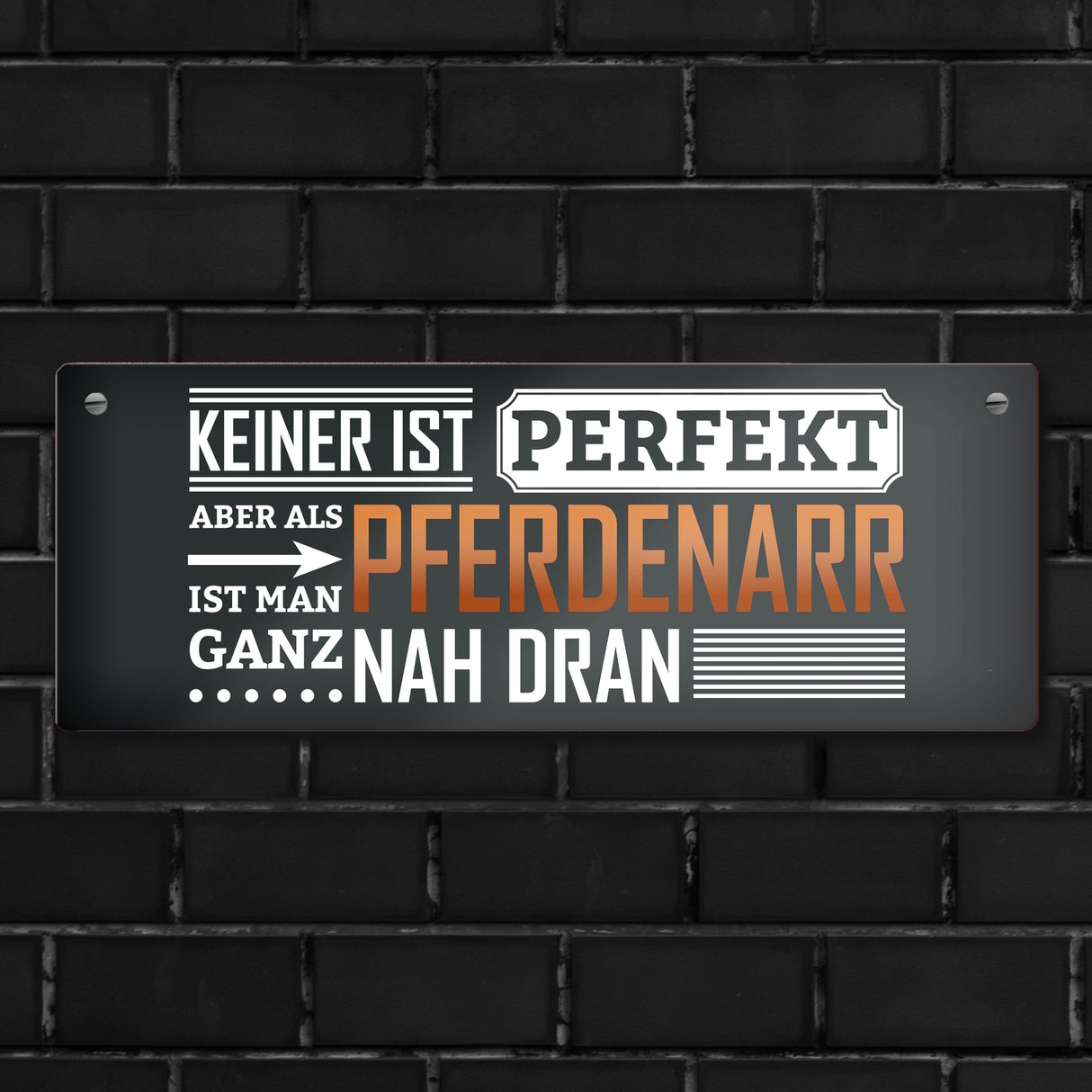 Metallschild mit Spruch: Keiner ist perfekt, aber als Pferdenarr ist man ganz nah dran