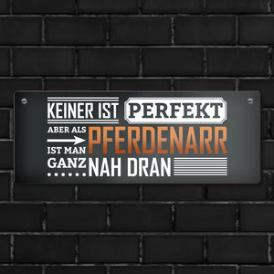 Metallschild mit Spruch: Keiner ist perfekt, aber als Pferdenarr ist man ganz nah dran