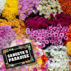 Gangsta's Paradise Fußmatte mit Blumen Motiv