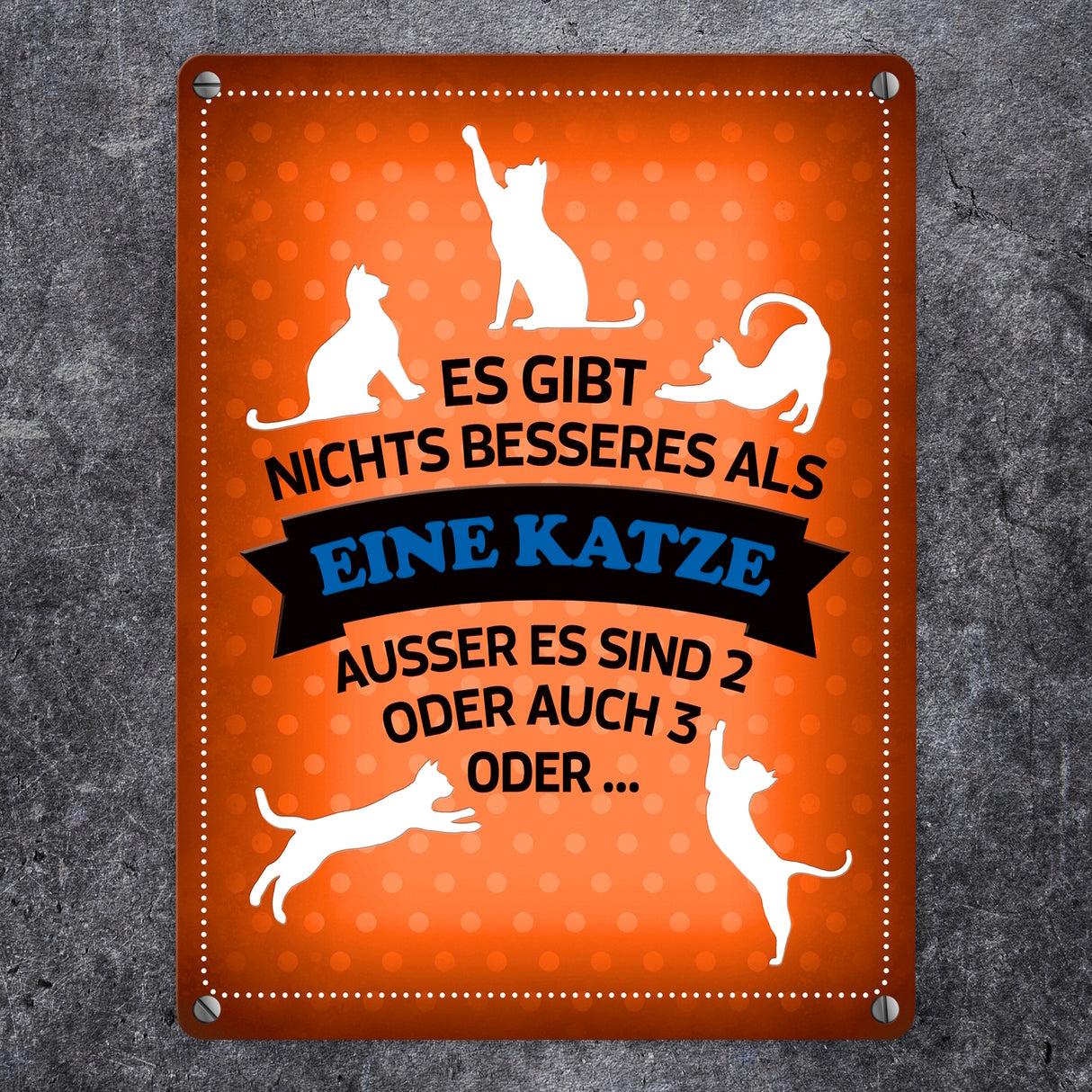 Es gibt nichts besseres als eine Katze Metallschild - Katzen Liebe Kater Haustier Lieblingstier