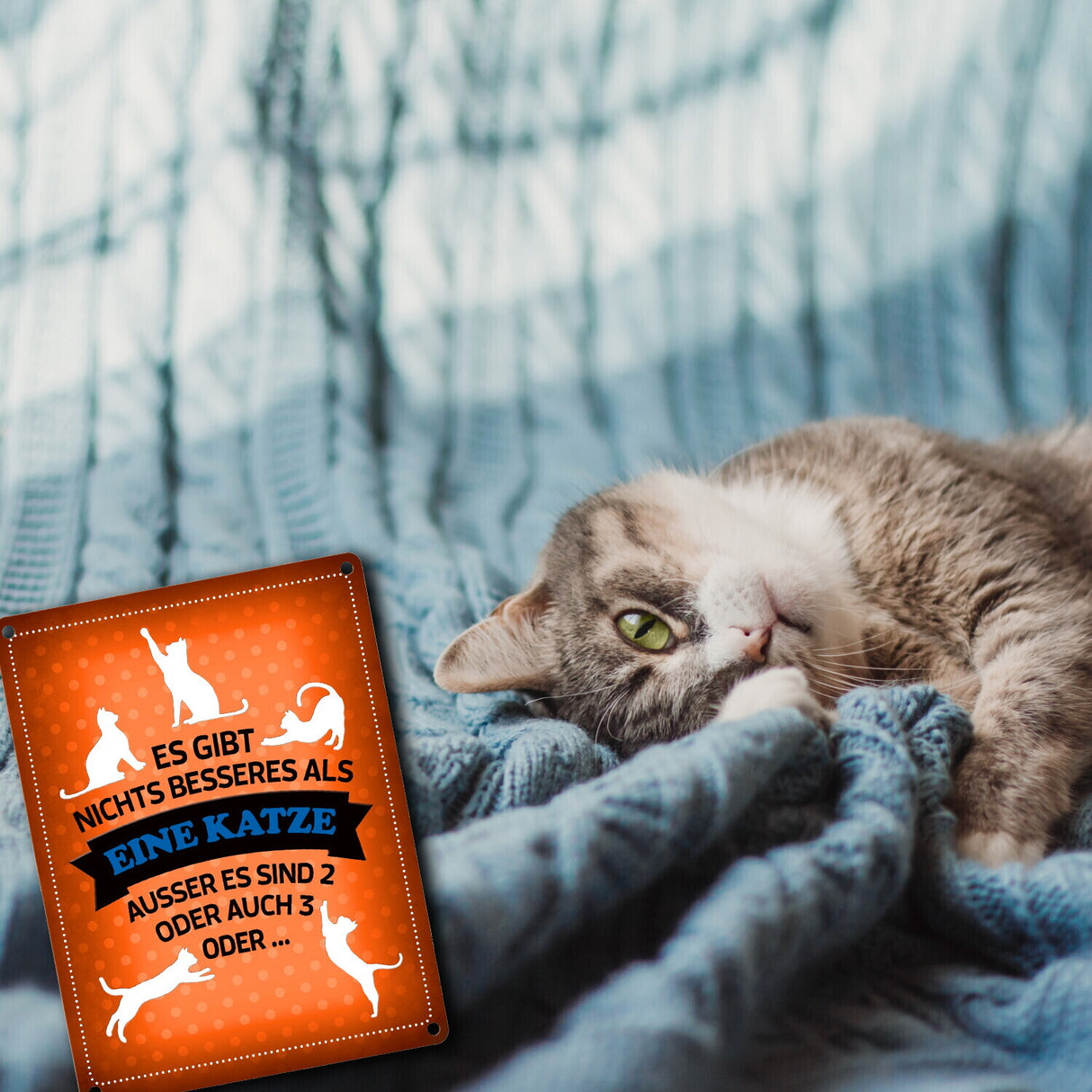 Es gibt nichts besseres als eine Katze Metallschild - Katzen Liebe Kater Haustier Lieblingstier