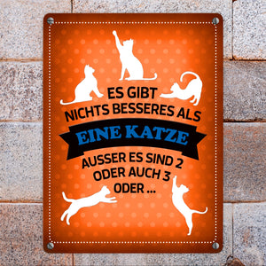 Es gibt nichts besseres als eine Katze Metallschild - Katzen Liebe Kater Haustier Lieblingstier
