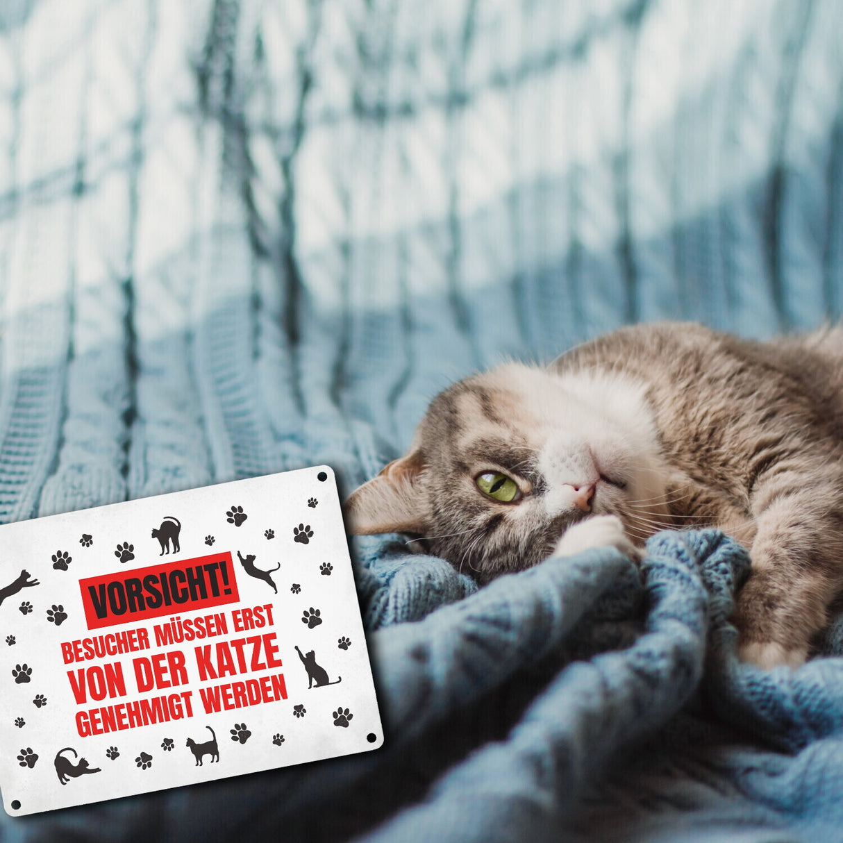 Besucher müssen erst von der Katze genehmigt werden Metallschild - Katzen Kater Haustier