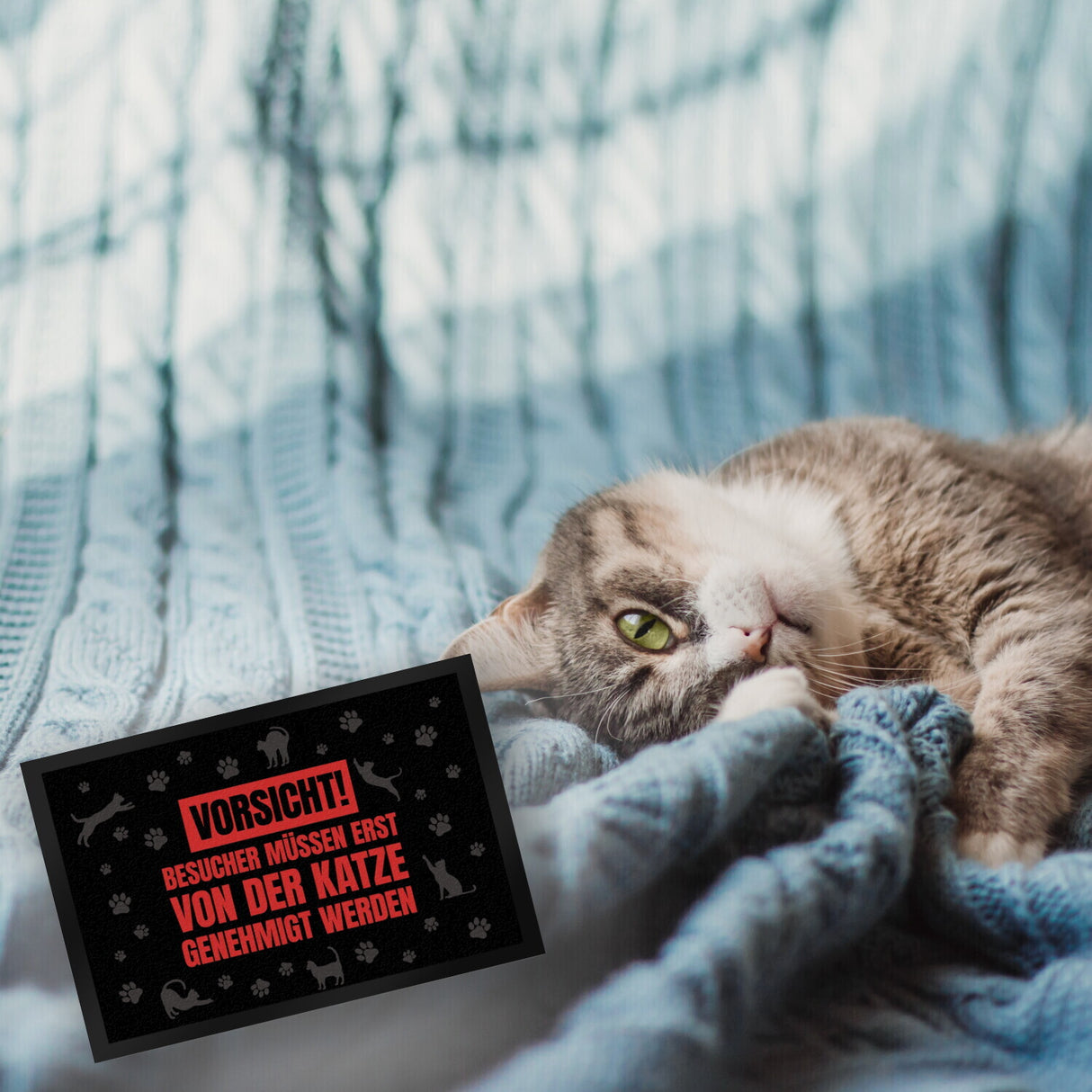 Besucher müssen erst von der Katze genehmigt werden Fußmatte - Kater Türe Katzen Haustüre Türsteher