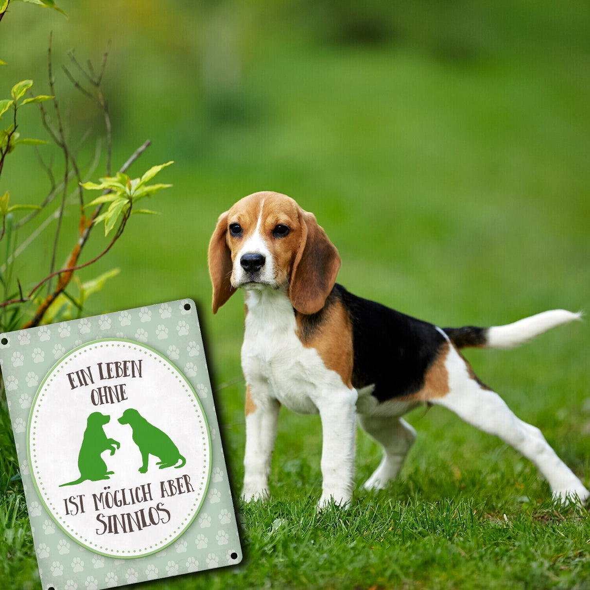 Ein Leben ohne Hunde ist möglich, aber sinnlos Metallschild - Hund Liebe Haustier Rasse Freunde Fell