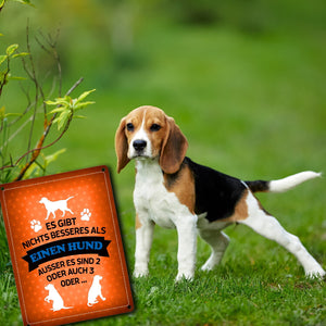 Es gibt nichts besseres als einen Hund Metallschild - Hunde Haustier Liebe Freunde Leben