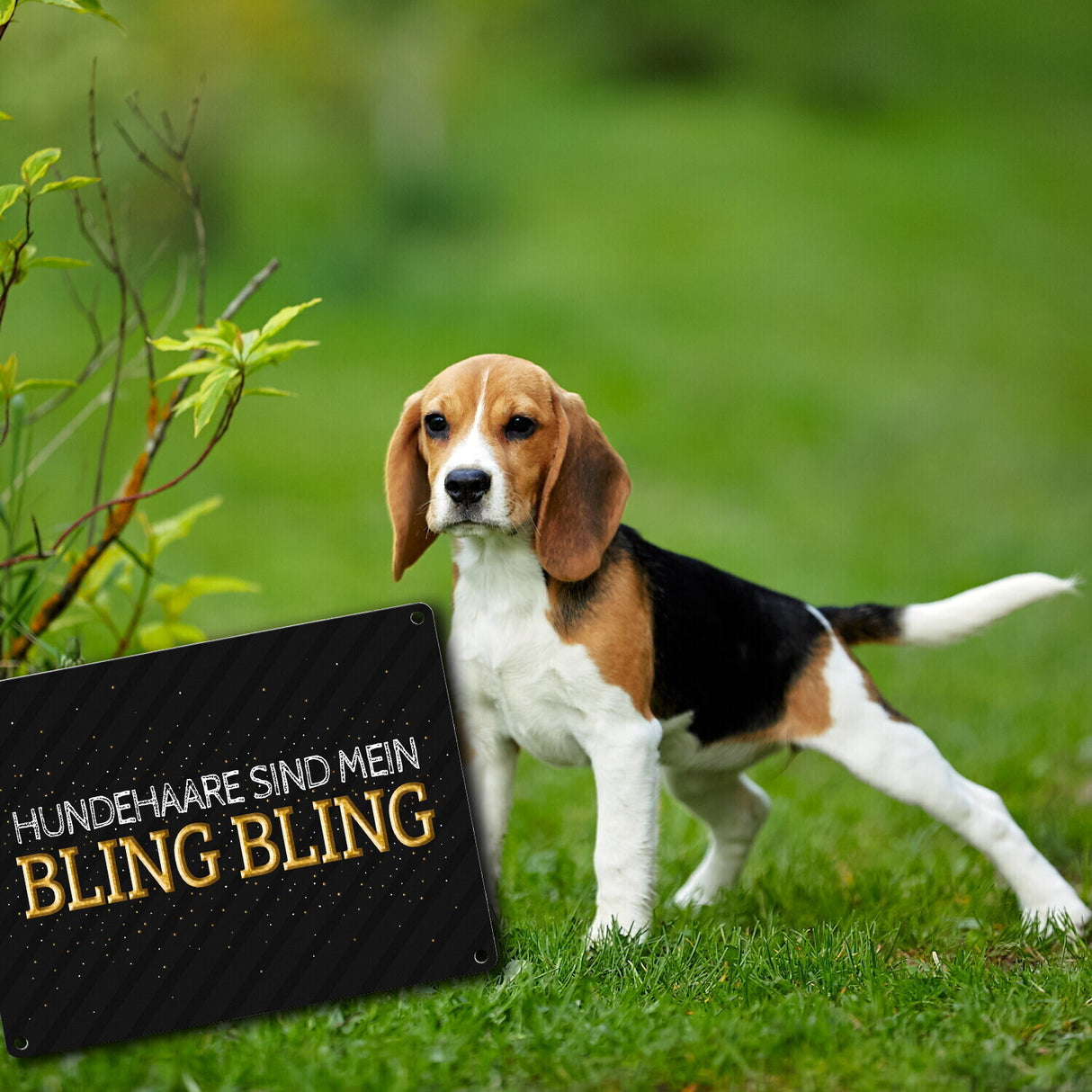 Hundehaare sind mein Bling Bling Metallschild
