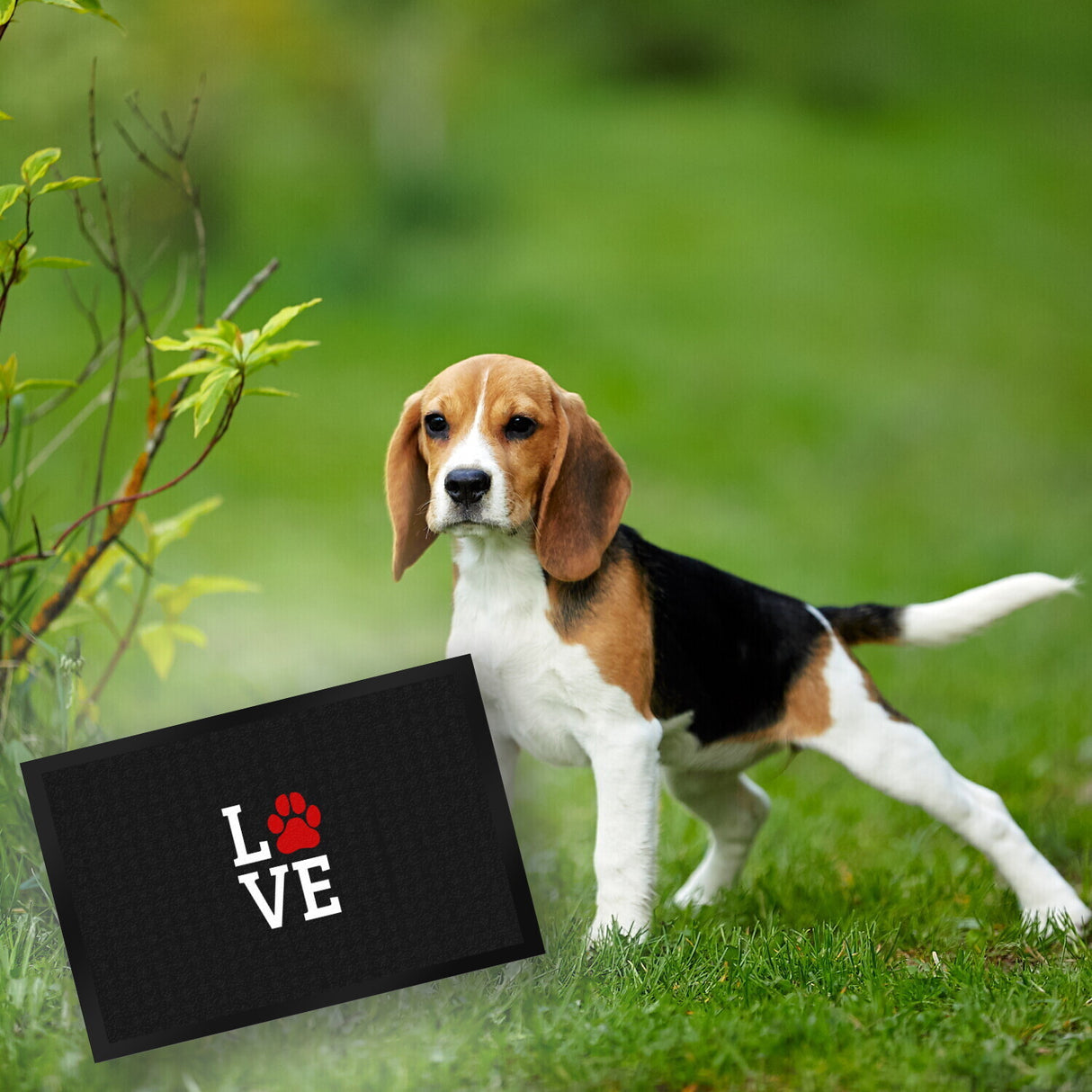 Love Fußmatte mit Pfote Motiv - Hund Hunde Familie wohnen Wohnung Liebe