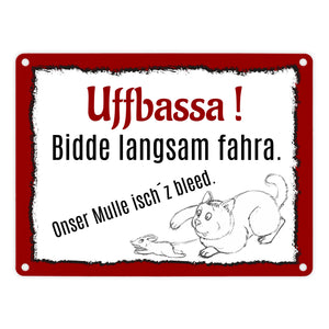 Aufpassen und langsam fahren - unsere Katze ist zu blöd Metallschild in 15x20 cm