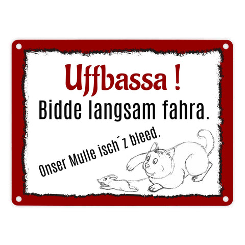 Aufpassen und langsam fahren - unsere Katze ist zu blöd Metallschild in 15x20 cm