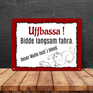 Aufpassen und langsam fahren - unsere Katze ist zu blöd Metallschild in 15x20 cm