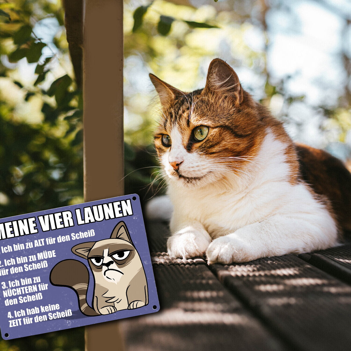Meine vier Launen Metallschild mit der lustigen grummeligen Katze