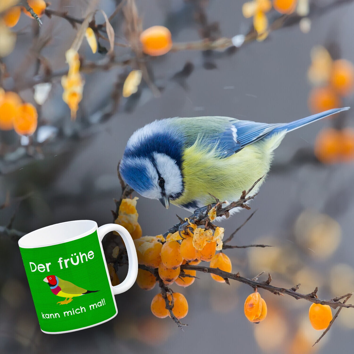 Kaffeebecher mit Bild und Spruch Der frühe Vogel kann mich mal!