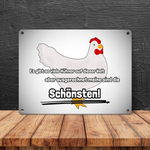 Metallschild in 15x20 cm Schönste Hühner der Welt mit Hintergrund in Vignettenoptik