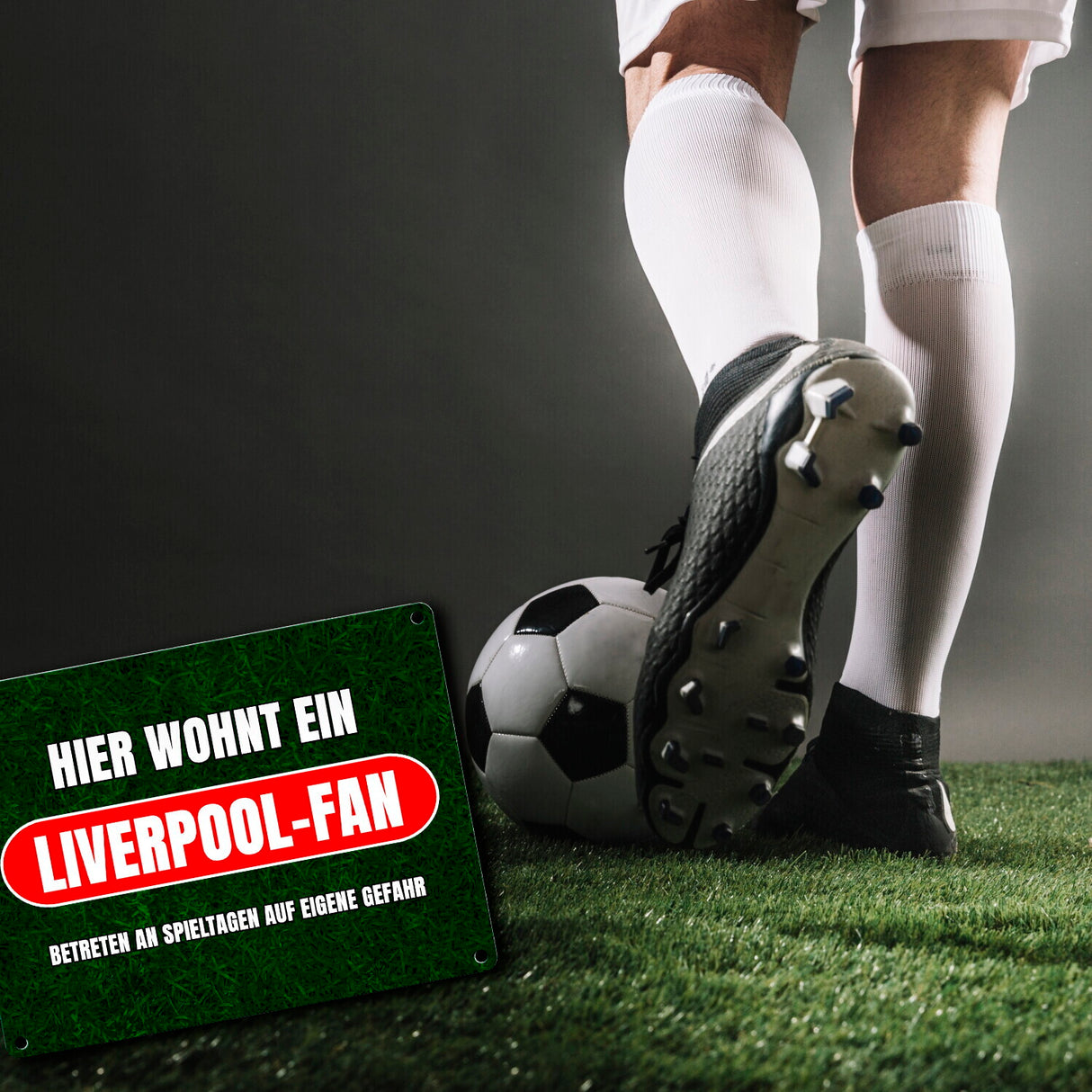 Hier wohnt ein Liverpool-Fan Metallschild in 15x20 cm mit Rasenmotiv