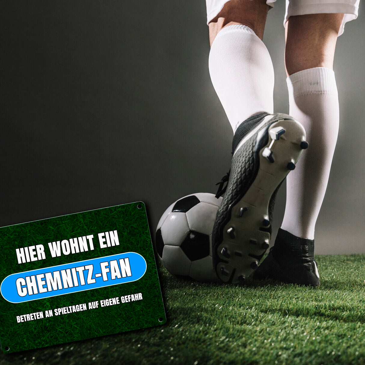 Hier wohnt ein Chemnitz-Fan Metallschild in 15x20 cm mit Rasenmotiv