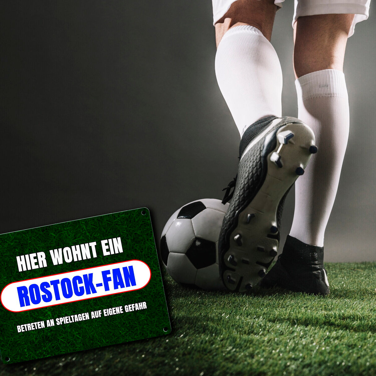 Hier wohnt ein Rostock-Fan Metallschild in 15x20 cm mit Rasenmotiv