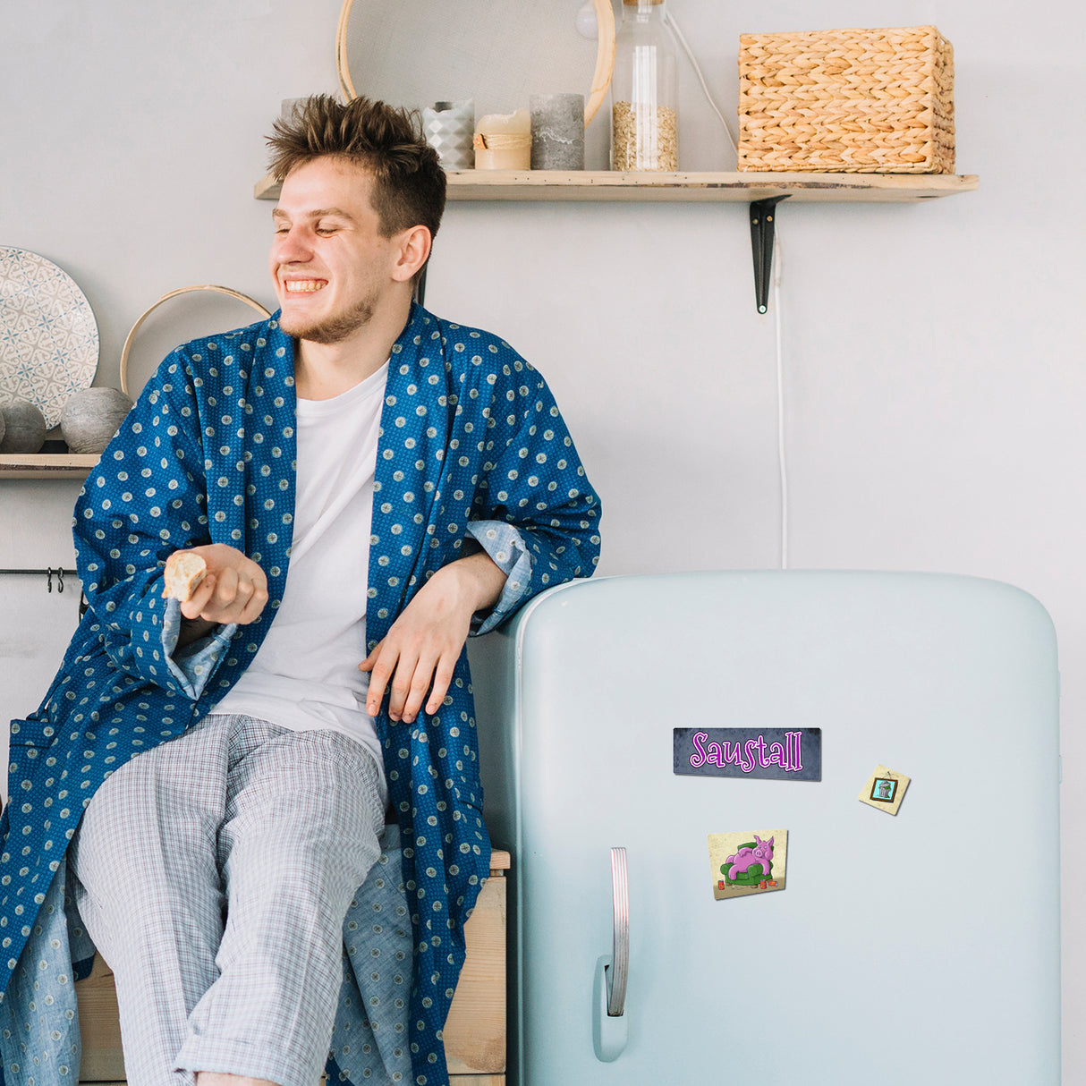 Magnetset mit Saustall Motiv: dickes Schwein liegt auf Couch 8er Set Magnete