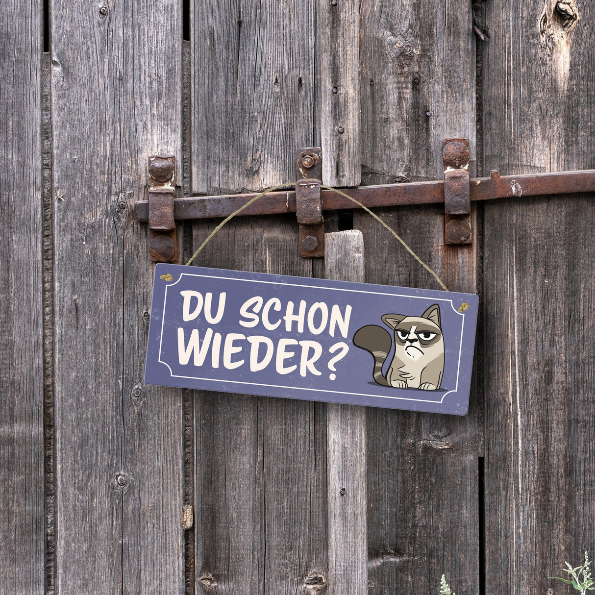 Metallschild mit Spruch und genervter Comic Katze - Du schon wieder?