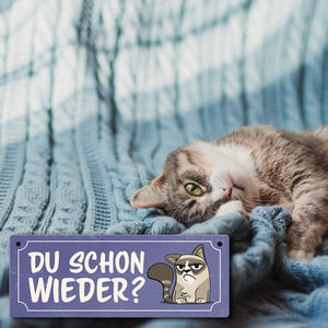 Metallschild mit Spruch und genervter Comic Katze - Du schon wieder?