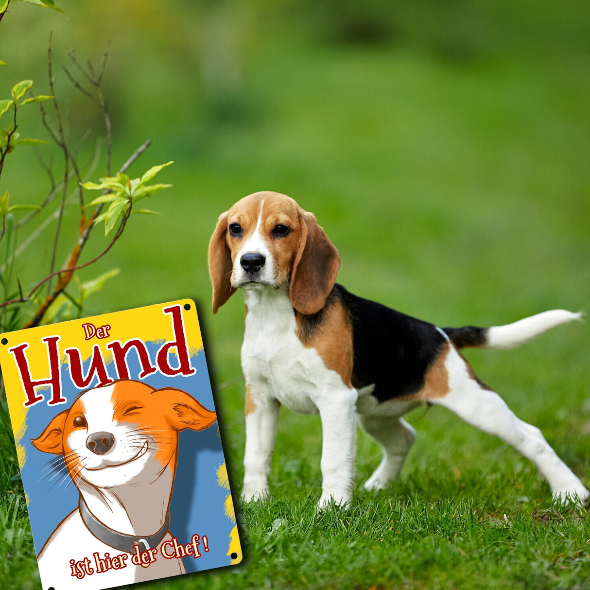 Metallschild mit süßem Hunde Motiv und Spruch - Der Hund ist hier der Chef!