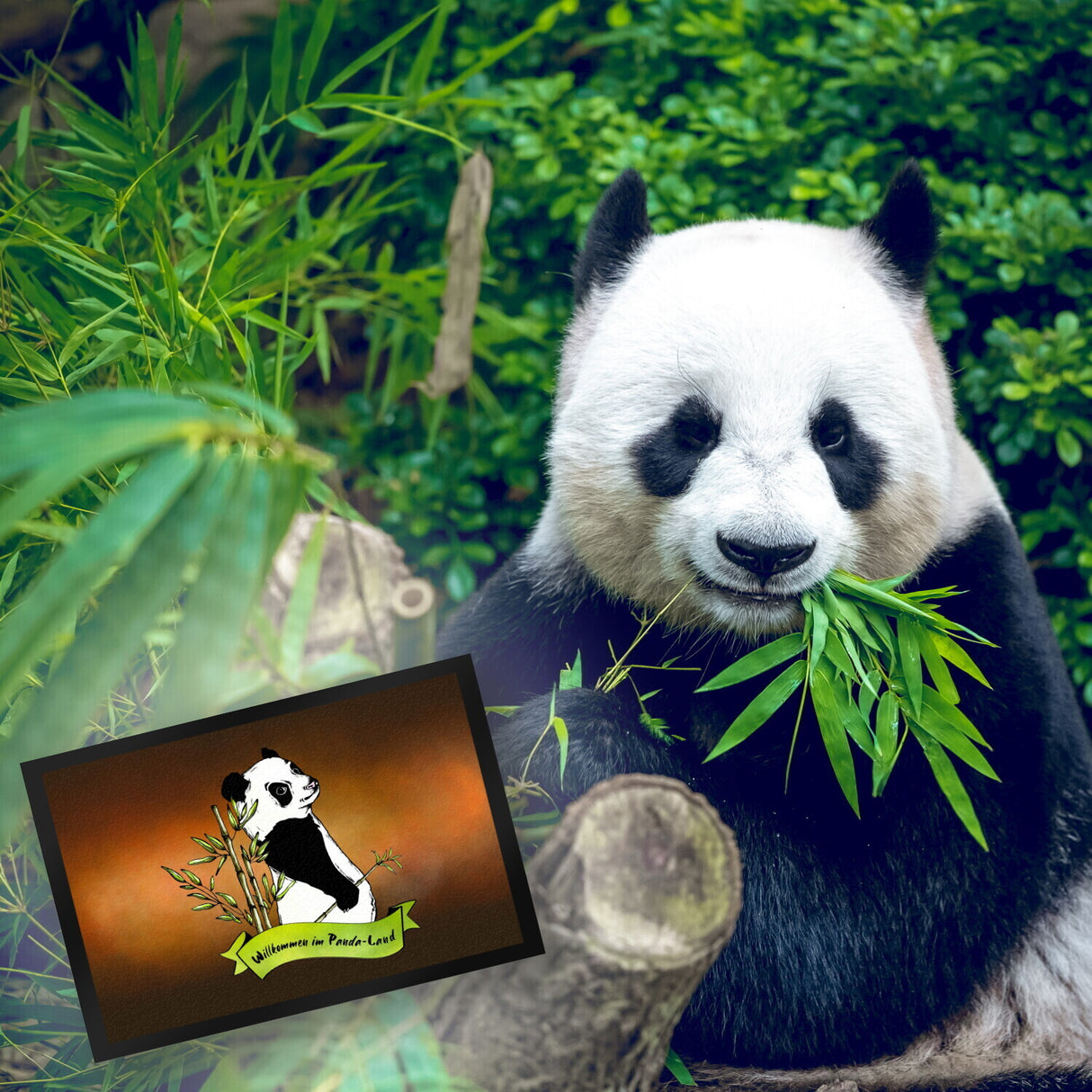 Pandabär Fußmatte Willkommen im Panda-Land in braun