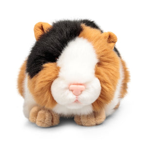 Meerschweinchen Animigos Kuscheltier